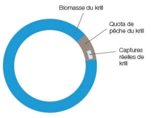 huile de krill biomasse durable