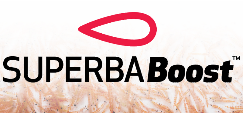 Choisissez un distributeur officiel d'huile de krill Superba Boost